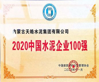 2020中國(guó)水泥企業(yè)100強(qiáng)